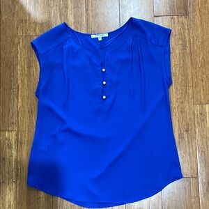 Daniel Rainn Blue Relaxed Blouse